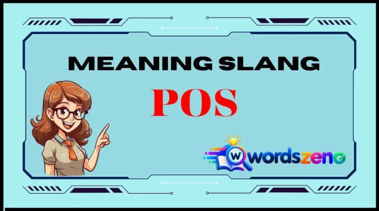 POS Meaning Slang