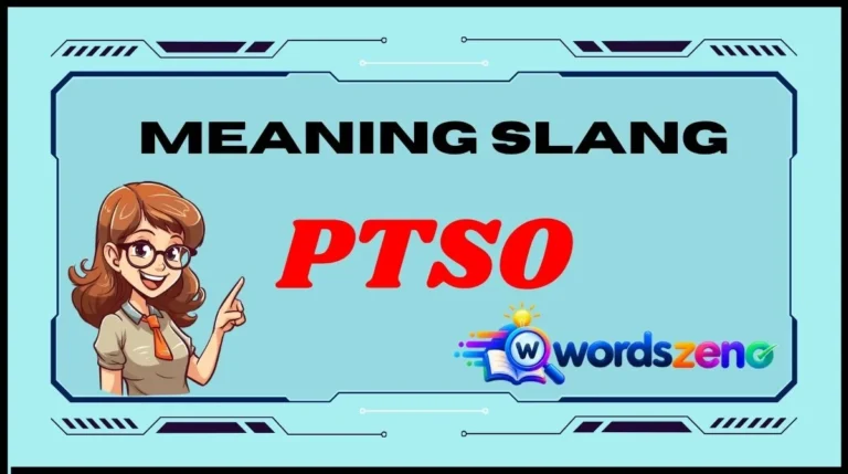 PTSO Meaning Slang