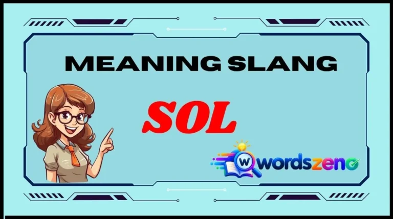 SOL Meaning Slang