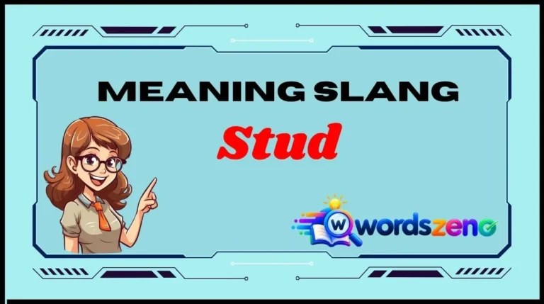 Stud Meaning Slang