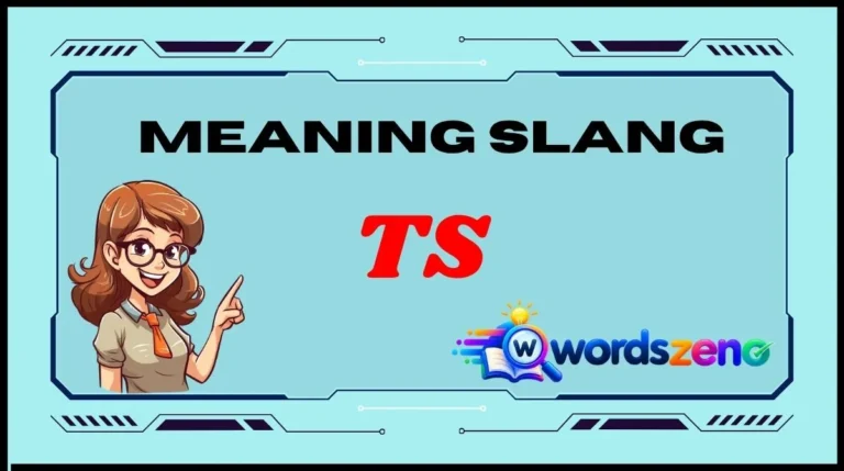 TS Meaning Slang