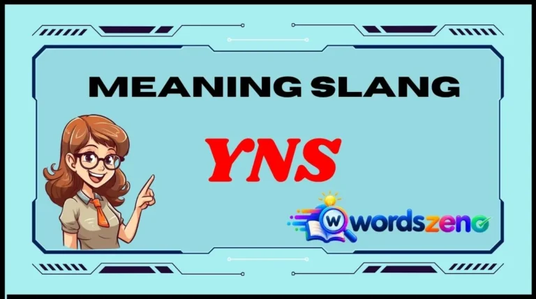 YNS Meaning Slang